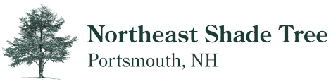 Northeast Shade Tree Logo